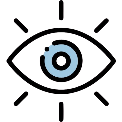 Vision